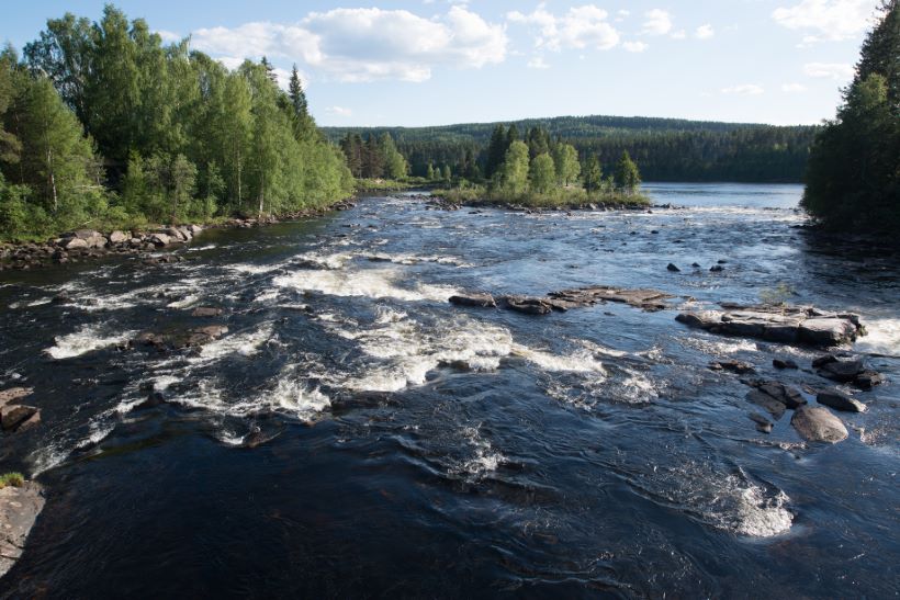 rørlegger Elverum